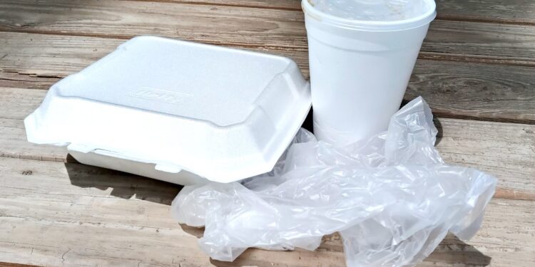 single-use plastics | Manufacturers