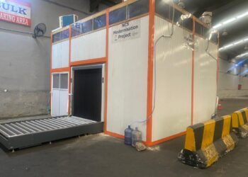 Customs Cargo Screening X-ray Machine (1)