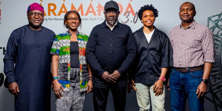 Chain Reactions Africa Youth and cultural report 2025