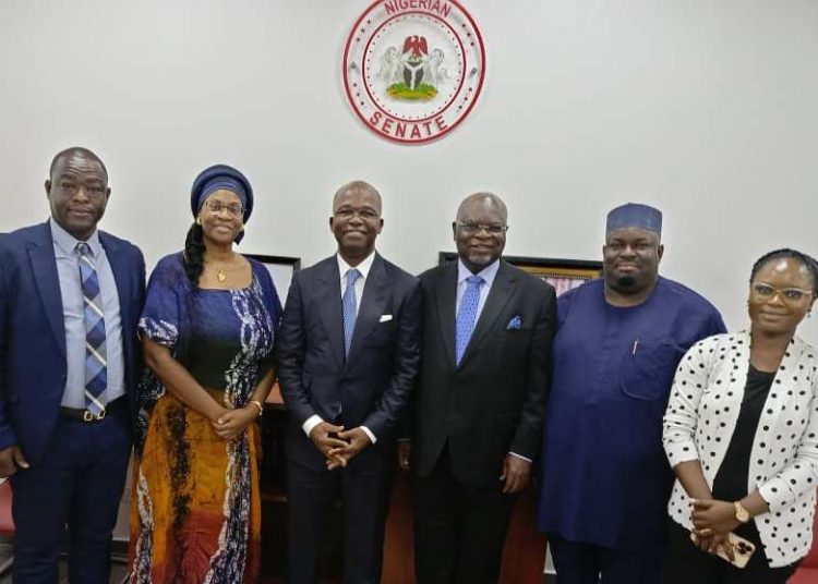 Senator Adetokunbo Abiru