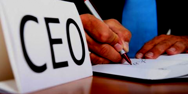 CEO's Compass | CEO and strategy