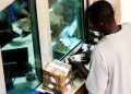 AfDB and TCX