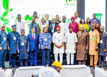 NITDA and green technology