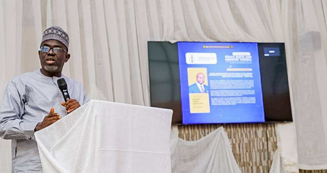 Nigeria’s builders and NITDA