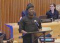 Africa in AI revolution | Oluwaseun Dania