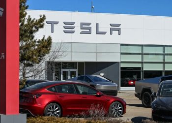 Tesla Stock Rallies After Elon Musk $1 Billion Share Purchase