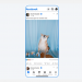 Facebook upgraded Reels for Social Share