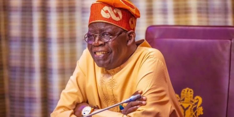 President Bola Tinubu | DSS | NASENI | S&P | Ambassadors