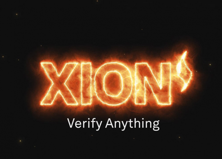 XION verification infrastructure