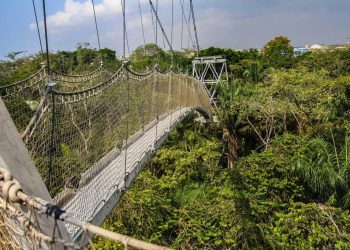 Aviation and tourism in Nigeria