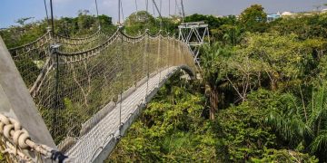 Aviation and tourism in Nigeria