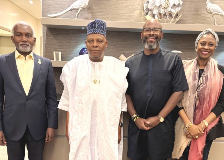 G20 Summit - Ralph Mupita and MTN Group