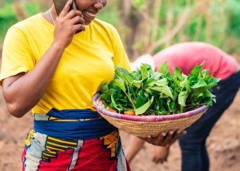 Kenya’s Farm to Feed Raises $1.5 Million