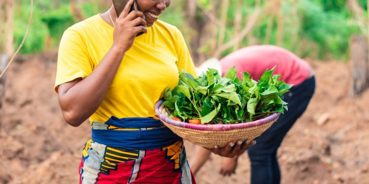 Kenya’s Farm to Feed Raises $1.5 Million