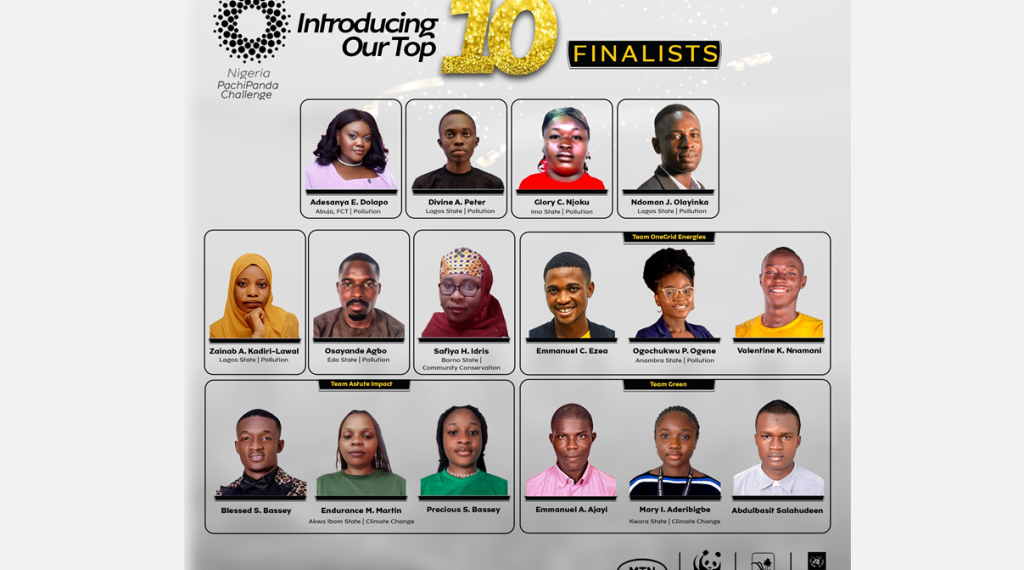 MTN Nigeria PachiPanda Challenge