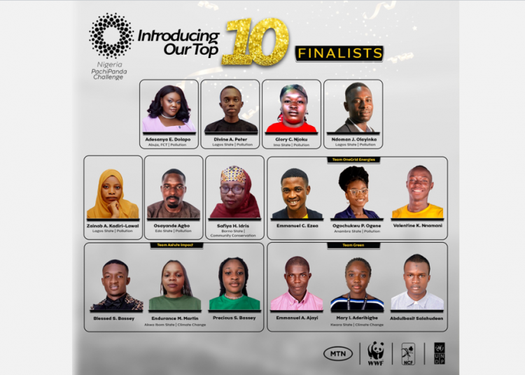 MTN Nigeria PachiPanda Challenge