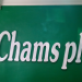 Chams Holding Company Plc