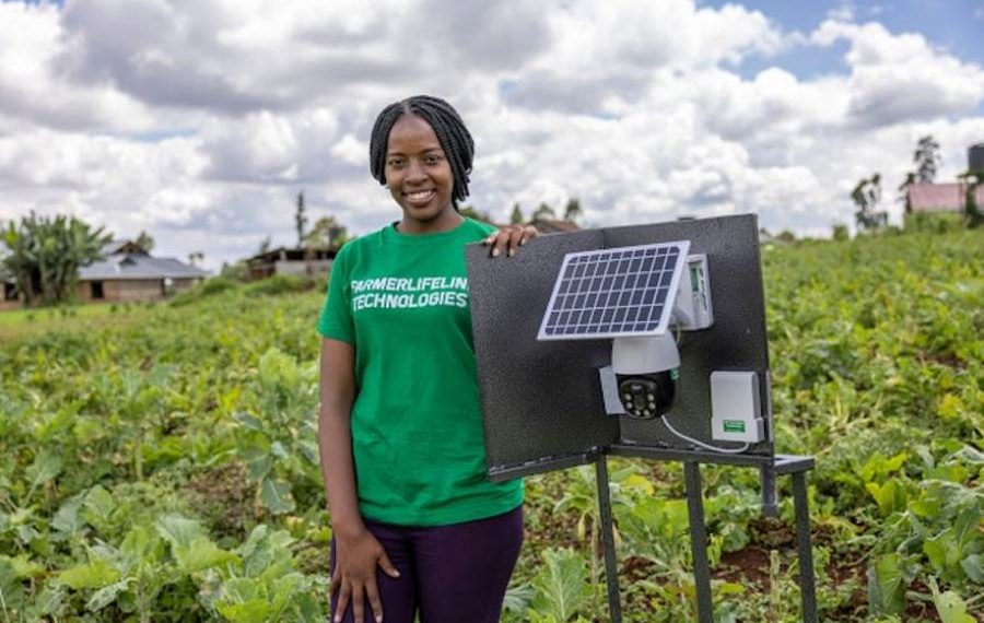 Farmer Lifeline, Qualcomm