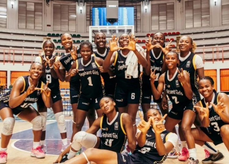 Firstbank Elephant Girls