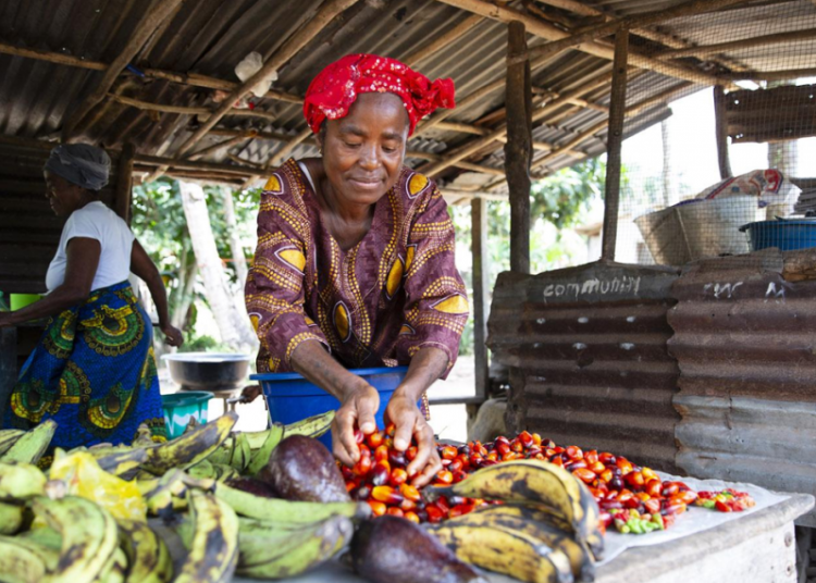 DIniti8tive–Agropedia Food security