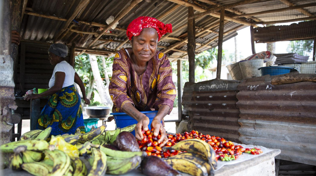 DIniti8tive–Agropedia Food security