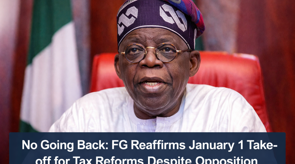 Tax law by Tinubu government
