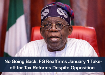 Tax law by Tinubu government