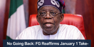 Tax law by Tinubu government
