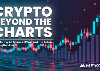 cryptocurrency beyond the hype