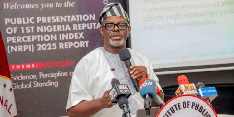 Nigeria Reputation Perception Index | Celestine Achi