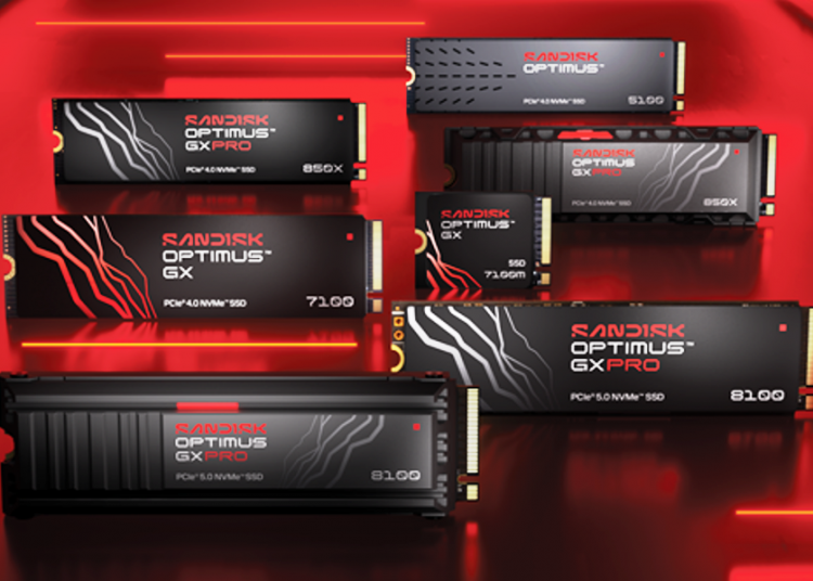 WD Black and SANDISK Optimus