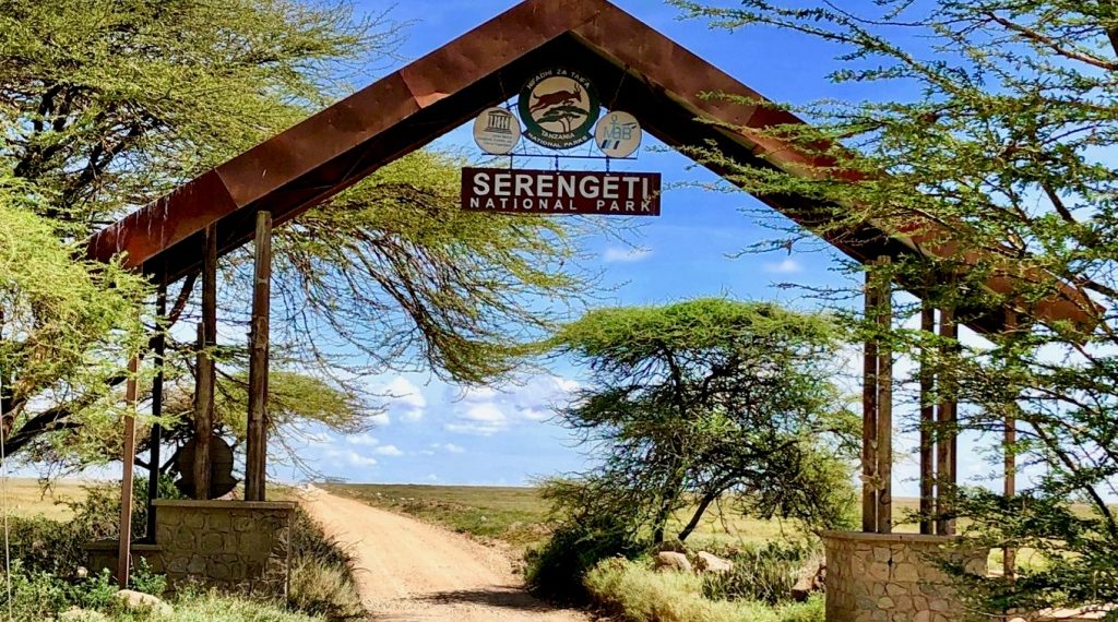 Africa best safari park | Serengeti National Park