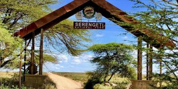 Africa best safari park | Serengeti National Park