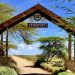 Africa best safari park | Serengeti National Park