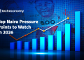 Top Naira Pressure Points to Watch in 2026