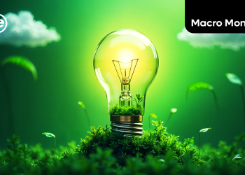 Why Green Tech Could Become the Next Profit Engine for African SMEs