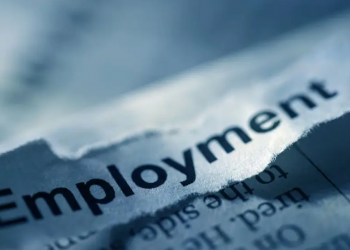 What brings about Employability