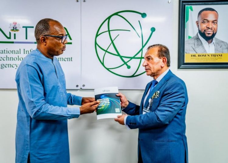 NITDA and Wigwe University