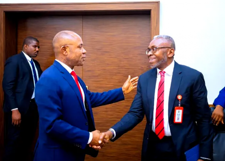 Enugu State Security Trust Fund | Ike Chioke