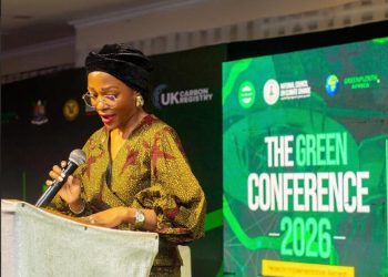 Omotenioye Majekodunmi | NCCC | Green Industrialisation | Jobs