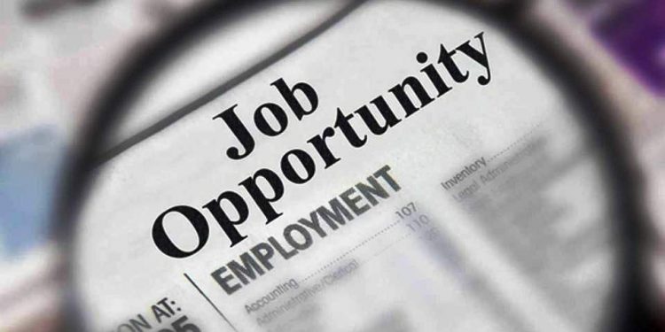 Job opportunities as Thales recruit