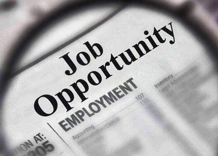 Job opportunities as Thales recruit