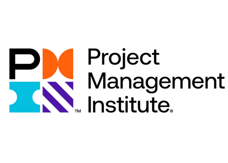 PMI Africa Construction Talent report