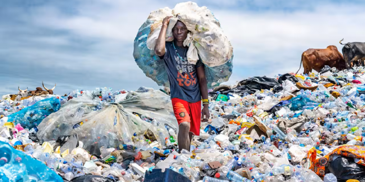 Mother Earth Day | Silicon Waste