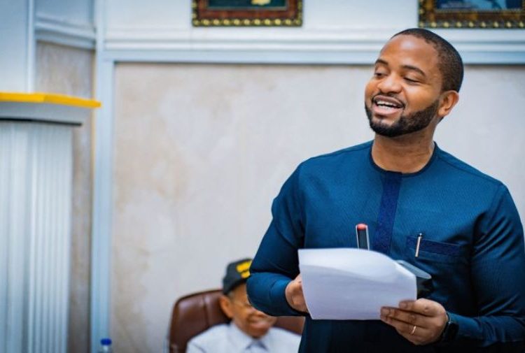 South East Development Commission (SEDC) | mark Okoye II