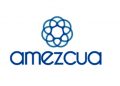 Amezcua GX-1 Bio-Reset System