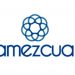 Amezcua GX-1 Bio-Reset System