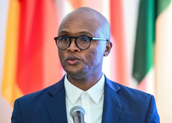 South Africa AI policy delay