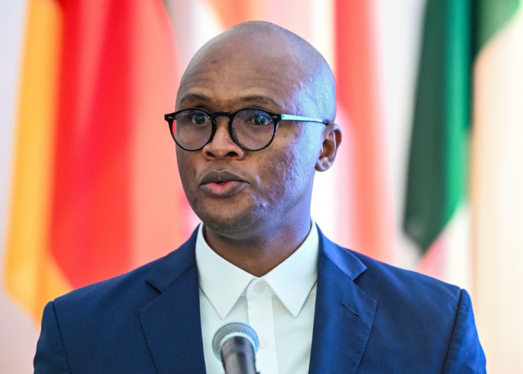 South Africa AI policy delay