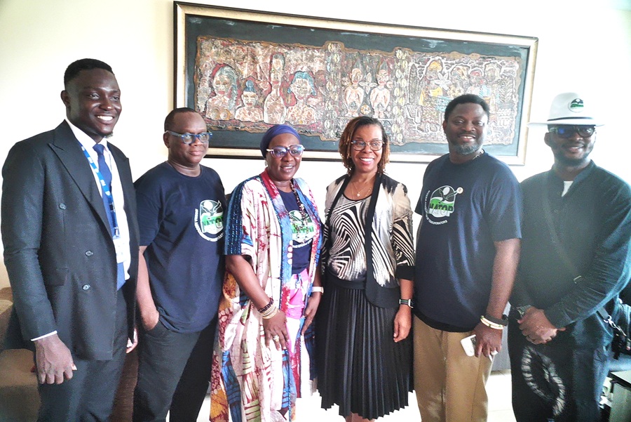 Yemisi Shyllon Museum and NOTAP